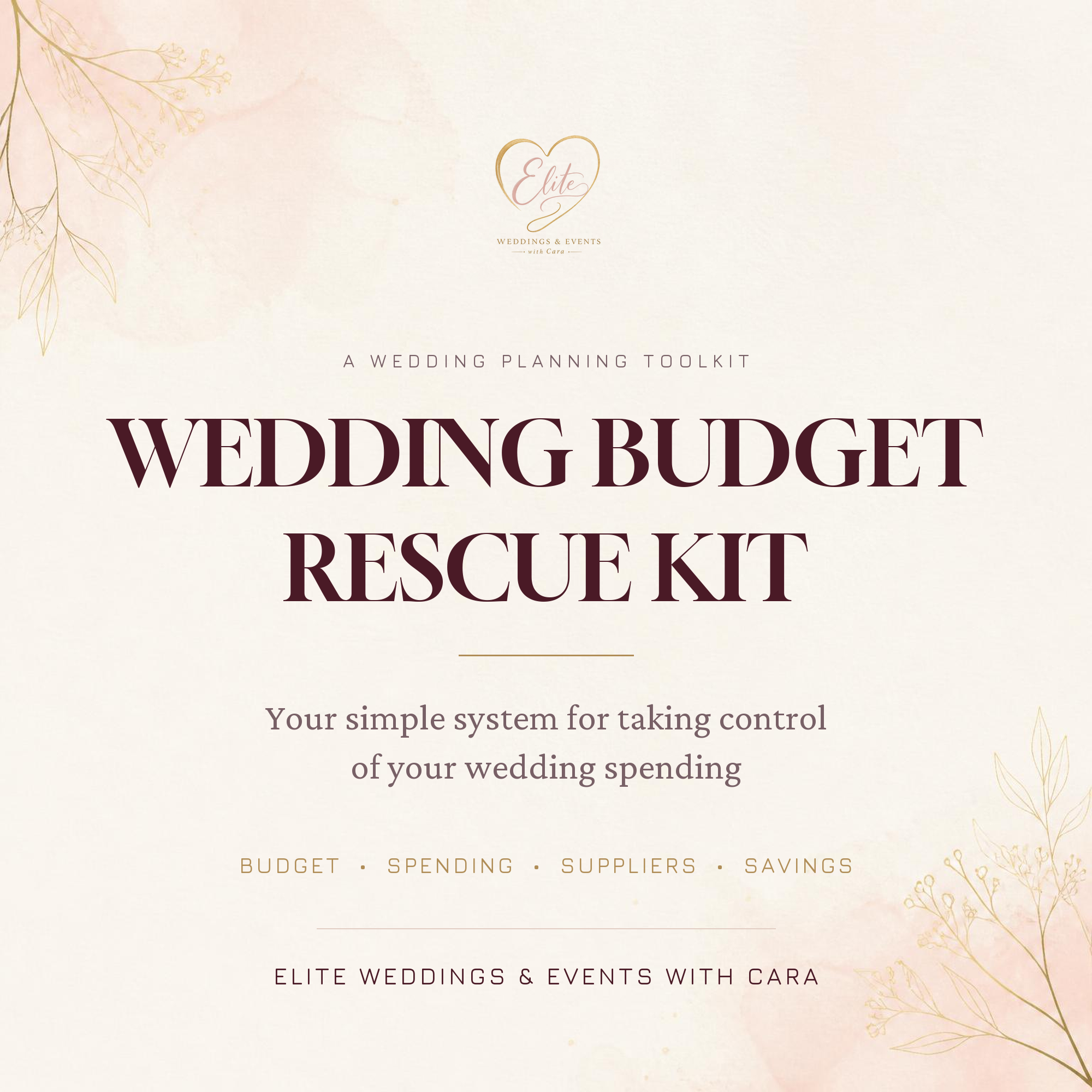 Wedding Budget Rescue Kit by Elite Weddings & Events with Cara
